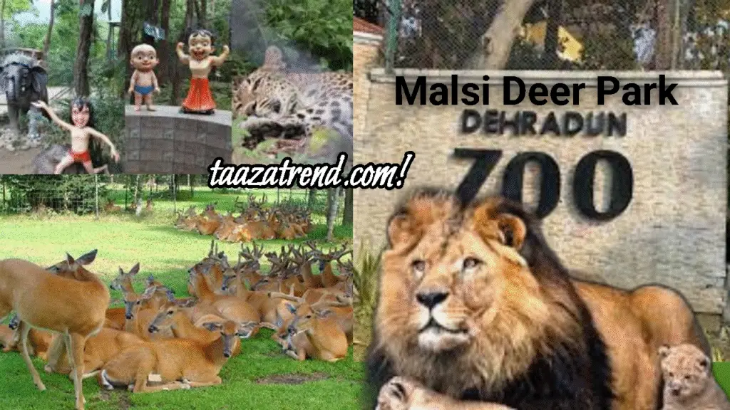 Malsi Deer Park in Dehradun