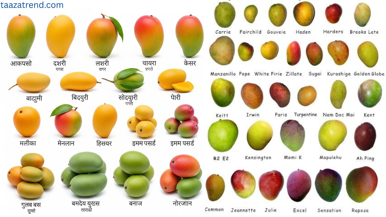 भारत में आम की 70+ किस्मे 